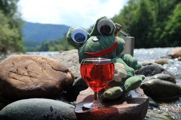 The image of a frog made of skin flaps. Handmade.