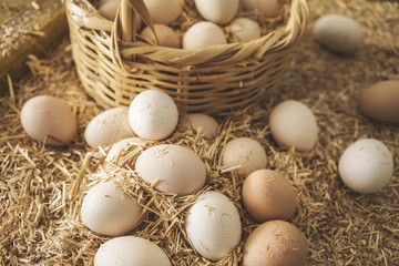Fresh raw eggs in straw basket