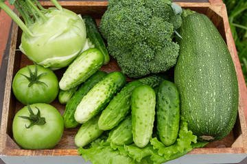 Fresh vegetables in the box on the green grass
