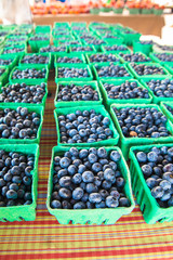 Crop of organically grown blueberries in cartons on display at farmers market