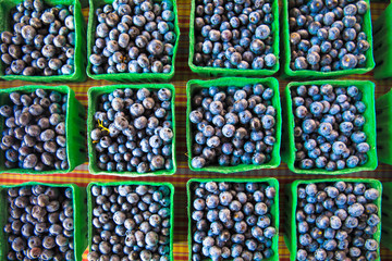 Crop of organically grown blueberries in cartons on display at farmers market