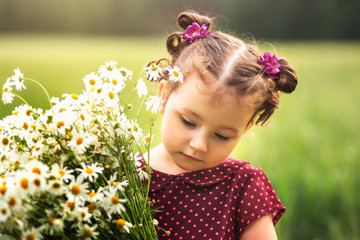 little girl with a bouquet of chamomiles on a meadow
