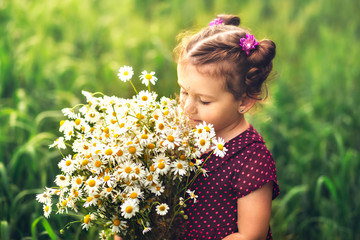 little girl with a bouquet of chamomiles on a meadow
