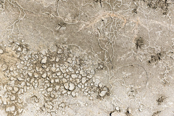dry earth background with curious and abstract shapes