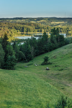 suwalszczyzna