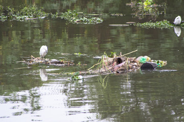 Sao Paulo, Brazil, June 01, 2008. Pollution of Pinheiros river by sewage and trash of city in a rain day