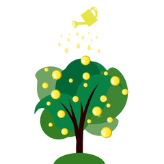 Green tree with gold coins pouring by gold watering can. Money tree isolated on white background.