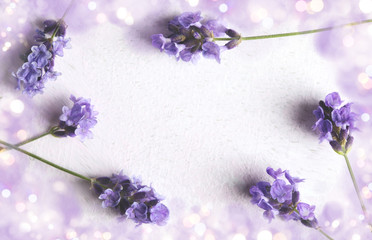 Fresh lavender flowers frame on pink background,