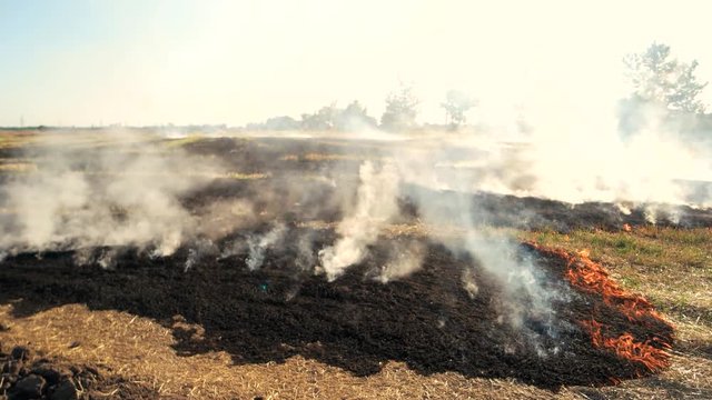 Smoldering field with smoke. Grass is burning on the field near the road.
