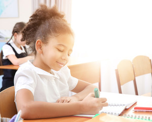 Beautiful elementary schoolgirl studying in classroom