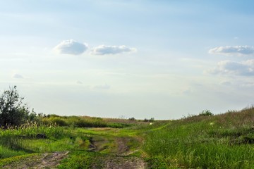 Russian village in summer