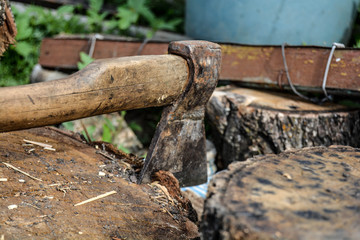 ax thrust into the stump