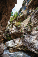 Fototapeta na wymiar Mountain river in rock canyon natural summer landscape