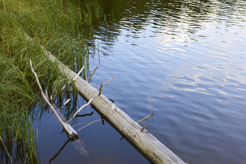Plesne lake in Sumava national park (Bohemian Forest) in Czech republic