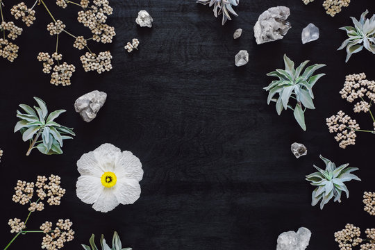 Matilija Poppy with Quartz and Native Plants
