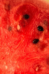 Watermelon background,