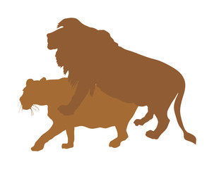 Sex lion vector silhouette illustration isolated on white background. A pair of mating lions in love having sex. Male and female lion tenderness. Erotic of lion mating sex romance. 