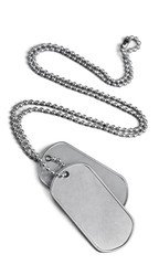 Fototapeta premium Blank Dog Tags