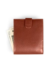Money in a Wallet