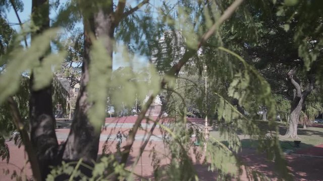 Slowmo Dolly footage of a statue behind a tree at buenos ires