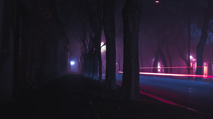 neon rainy fogy moody empty street long exposure
