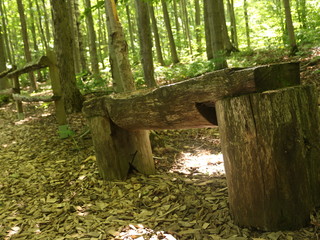 Tree bench