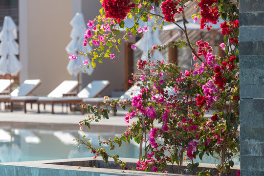 Resort
