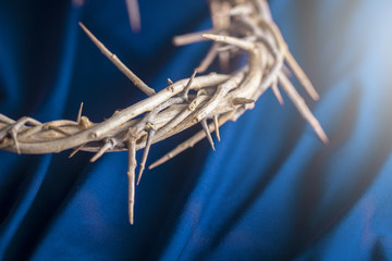 The Crown of Thorns that Jesus Wore