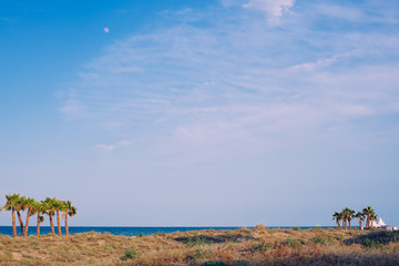 Obraz premium View of the sea from land with beach with palm trees