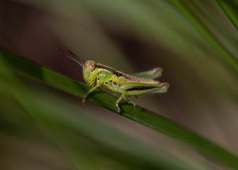 Up close and Personal