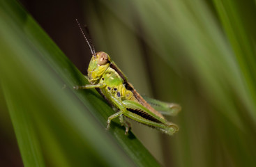 Up close and Personal
