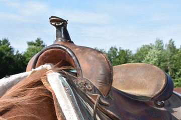 In the Saddle