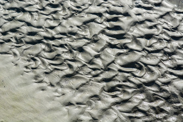 Sand ridges cove the beach