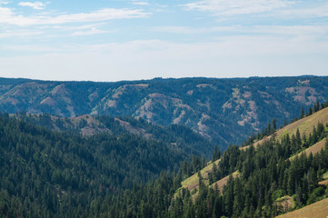 Fototapeta na wymiar Wallowa-Whitman National Forest near Elgin, Oregon, USA