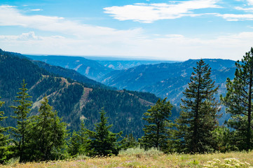 Wallowa-Whitman National Forest near Elgin, Oregon, USA