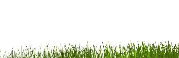 Fototapeta premium green grass meadow lawn blades of grass 3d-illustration