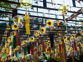 正寿院の風鈴まつり