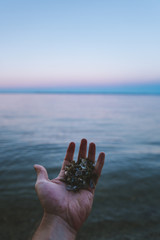 A man reaches his hand towards the water full of shells as the colors blend into the blue horizon.