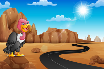 Obraz na płótnie Canvas Cartoon vulture on rock with empty road in the desert