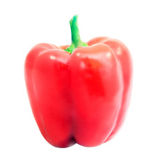 Photo of a bright red sweet pepper