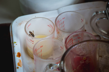 Fototapeta na wymiar The bee in the big city eats nectar and condensed milk at the edge of the measuring cup for coffee. Uncertainty in the cleanliness of the people.