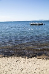 Phillip Island ocean with birds