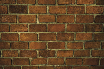 abstract background, wall texture, mortar background, cement texture