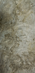 Obraz na płótnie Canvas abstract background, wall texture, mortar background, cement texture