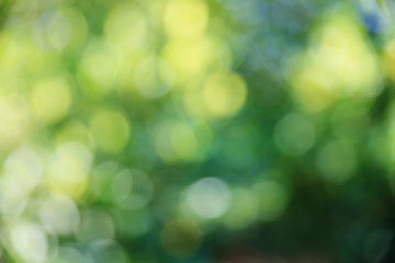 Natural green background.