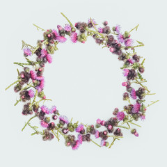 Round frame made of green branches of Thistle with thorns and blossoming tender crimson flowers on white background. Flat lay, top view, copy space. Toned. Valentine's or wedding background.