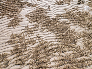 Sand texture background