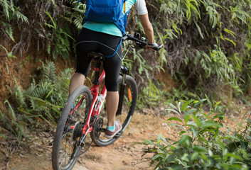 Fototapeta na wymiar Cyclist riding mountain bike in the forest