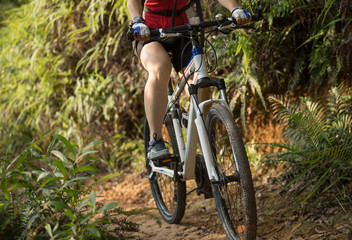 Plakat Cyclist riding mountain bike in the forest