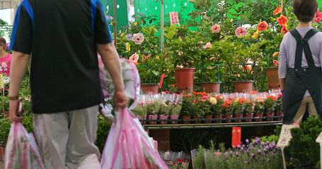 Jianguo Holiday Flower market